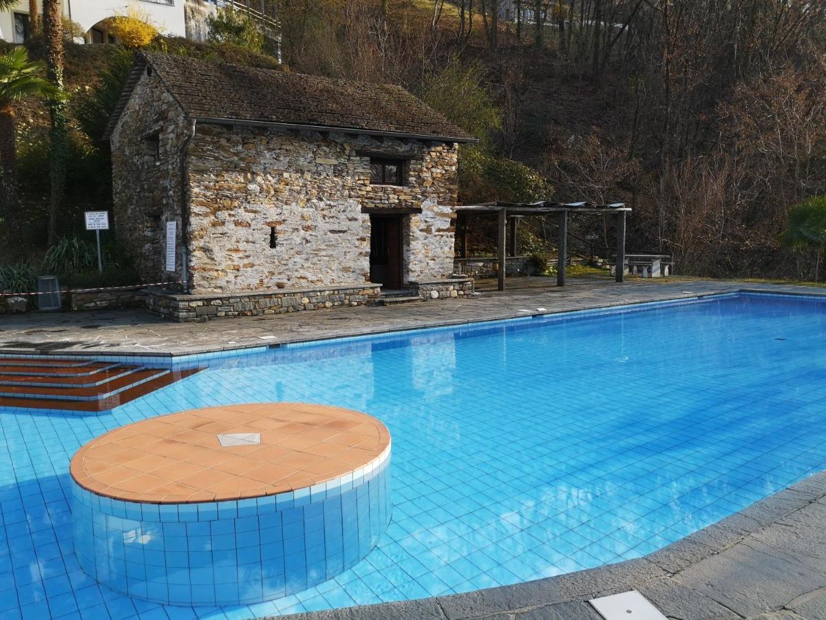 1 Zimmer Apartment Mit Seesicht Und Pool Gambarogno Екстер'єр фото