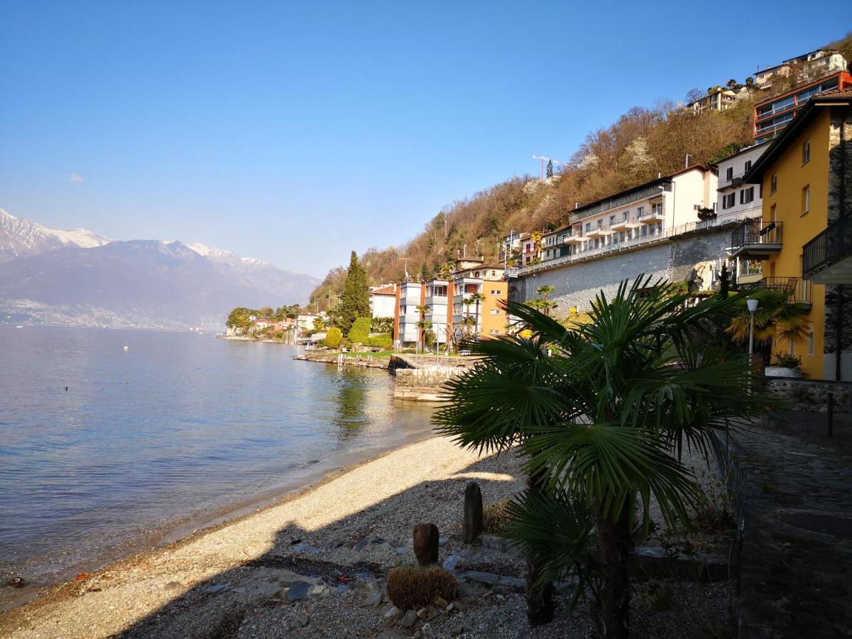 1 Zimmer Apartment Mit Seesicht Und Pool Gambarogno Екстер'єр фото