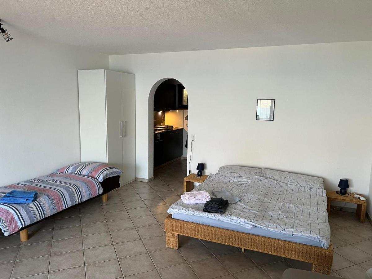 1 Zimmer Apartment Mit Seesicht Und Pool Gambarogno Екстер'єр фото